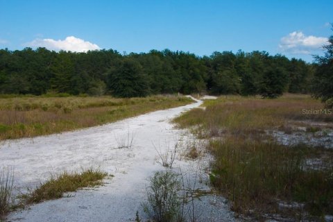 Terrain à vendre à Perry, Floride № 1801722 - photo 3