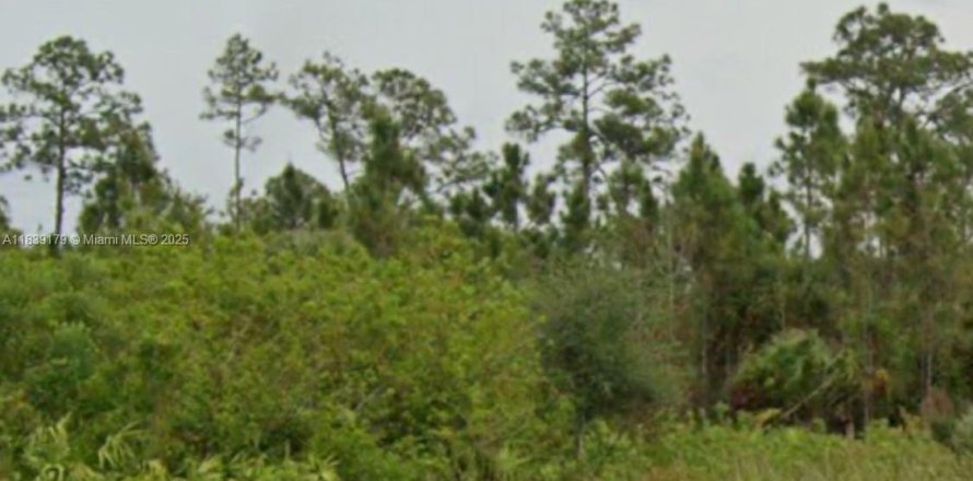 Terrain à Lehigh Acres, Floride № 1827570