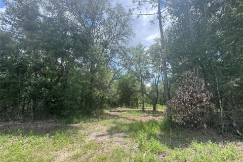 Land in Williston, Florida № 2204608