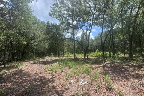 Terrain à vendre à Williston, Floride № 2204608 - photo 4