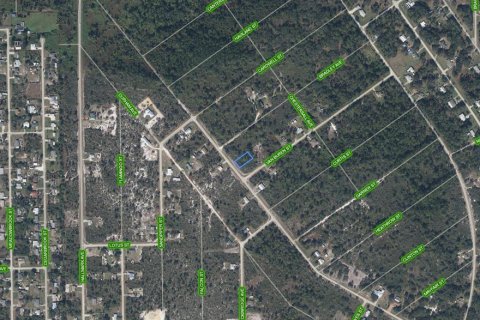 Land in Lake Placid, Florida № 2370861 - photo 2