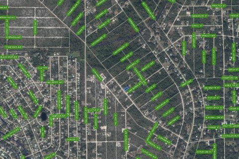 Land in Lake Placid, Florida № 2370861 - photo 3