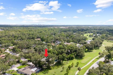 Villa ou maison à vendre à Temple Terrace, Floride: 5 chambres, 385.36 m2 № 1822524 - photo 6