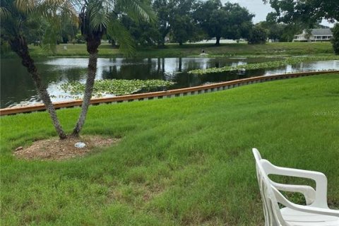 Condominio en venta en Seminole, Florida, 1 dormitorio, 56.48 m2 № 2207285 - foto 23