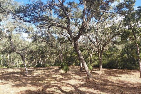 Land in Webster, Florida № 2375538 - photo 15