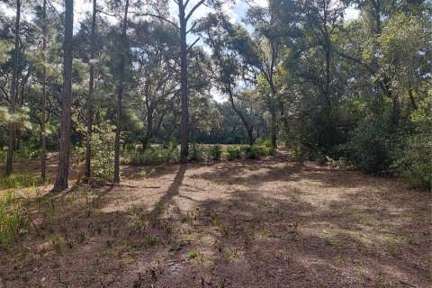 Land in Webster, Florida № 2375538 - photo 11