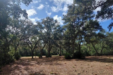 Land in Webster, Florida № 2375538 - photo 2