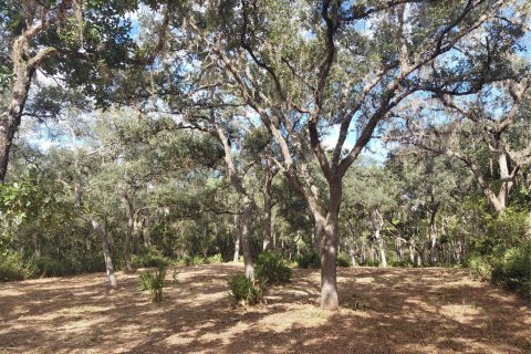Land in Webster, Florida № 2375538 - photo 6