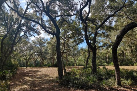 Land in Webster, Florida № 2375538 - photo 9