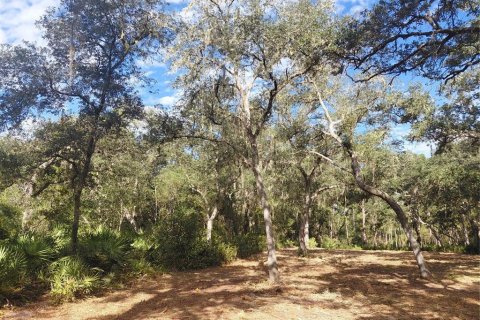 Land in Webster, Florida № 2375538 - photo 16