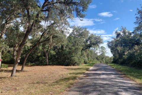 Land in Webster, Florida № 2375538