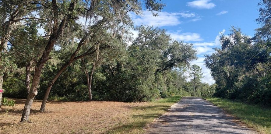 Land in Webster, Florida № 2375538