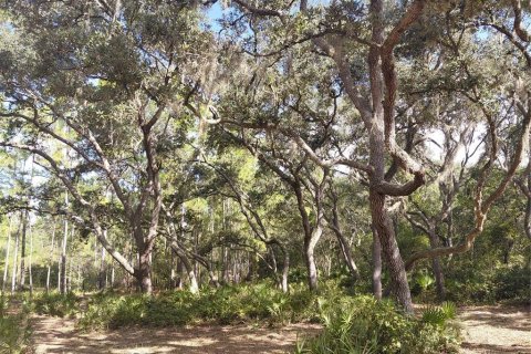 Land in Webster, Florida № 2375538 - photo 14