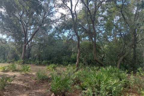 Land in Webster, Florida № 2375538 - photo 12