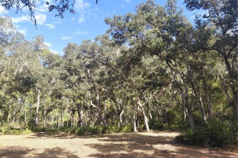 Land in Webster, Florida № 2375538 - photo 4