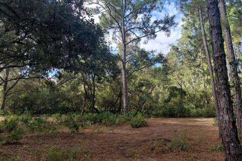 Land in Webster, Florida № 2375538 - photo 3