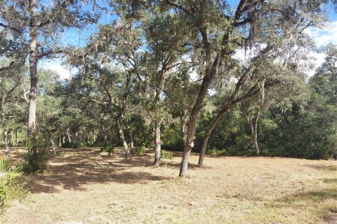 Land in Webster, Florida № 2375538 - photo 17