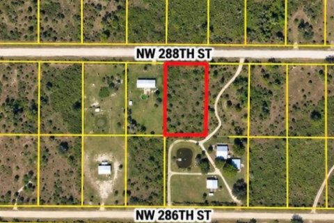 Immobilier commercial à vendre à Okeechobee, Floride № 2397980 - photo 2