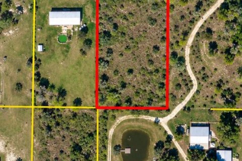 Immobilier commercial à Okeechobee, Floride № 2397980