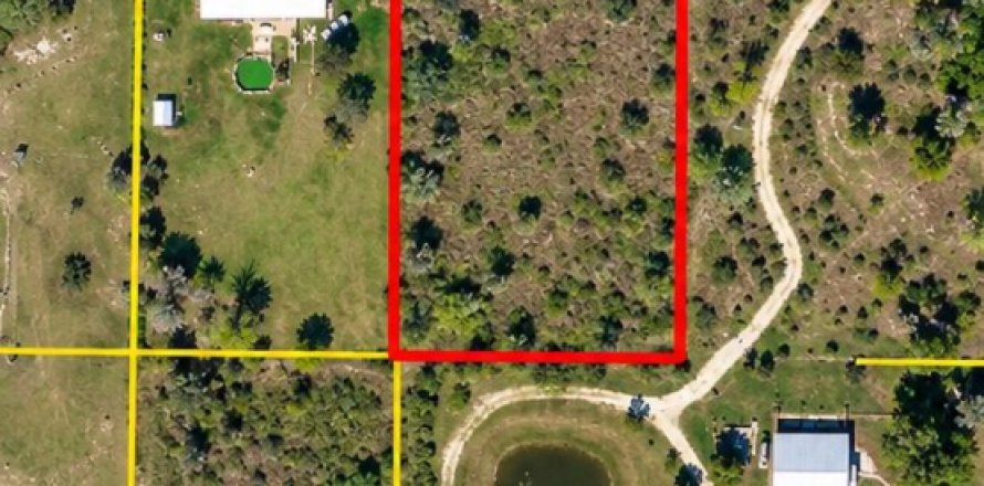 Immobilier commercial à Okeechobee, Floride № 2397980