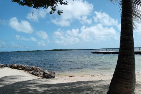 Villa ou maison à vendre à Key Largo, Floride: 3 chambres, 126.72 m2 № 1941840 - photo 12