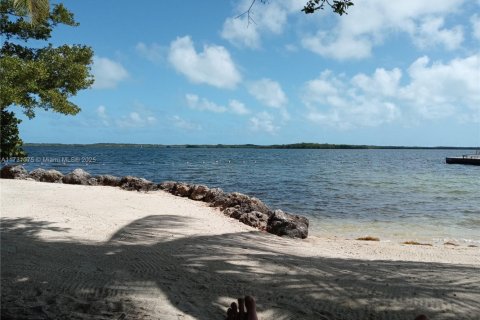 Villa ou maison à vendre à Key Largo, Floride: 3 chambres, 126.72 m2 № 1941840 - photo 13