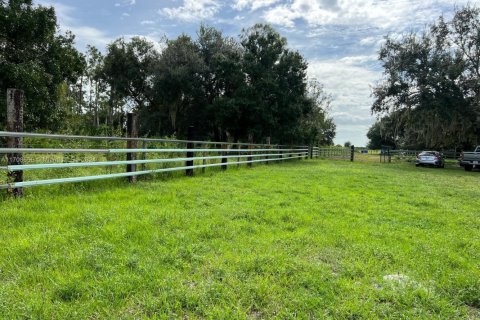 Commercial property in Sebring, Florida № 1984839 - photo 26