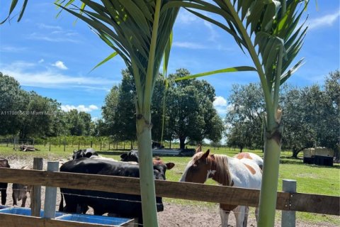 Commercial property in Sebring, Florida № 1984839 - photo 24