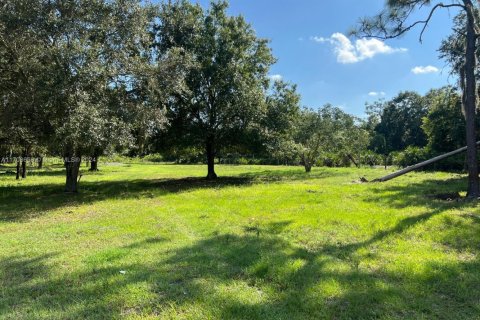 Commercial property in Sebring, Florida № 1984839 - photo 27