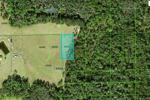 Terreno en Polk City, Florida № 2226941