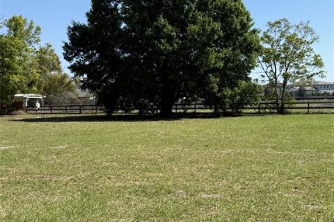 Land in Windermere, Florida № 2128814 - photo 5