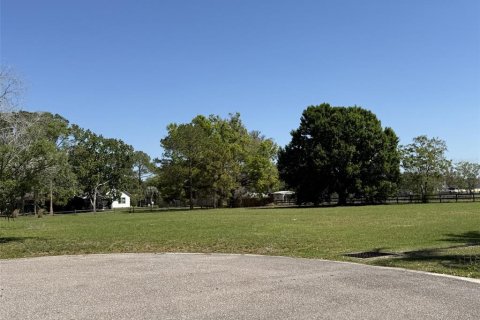 Land in Windermere, Florida № 2128814 - photo 4