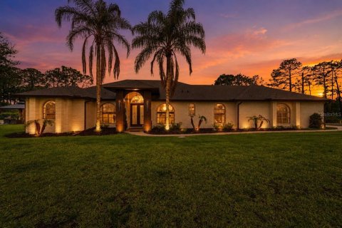 Villa ou maison à vendre à Sanford, Floride: 4 chambres, 251.86 m2 № 2151523 - photo 2