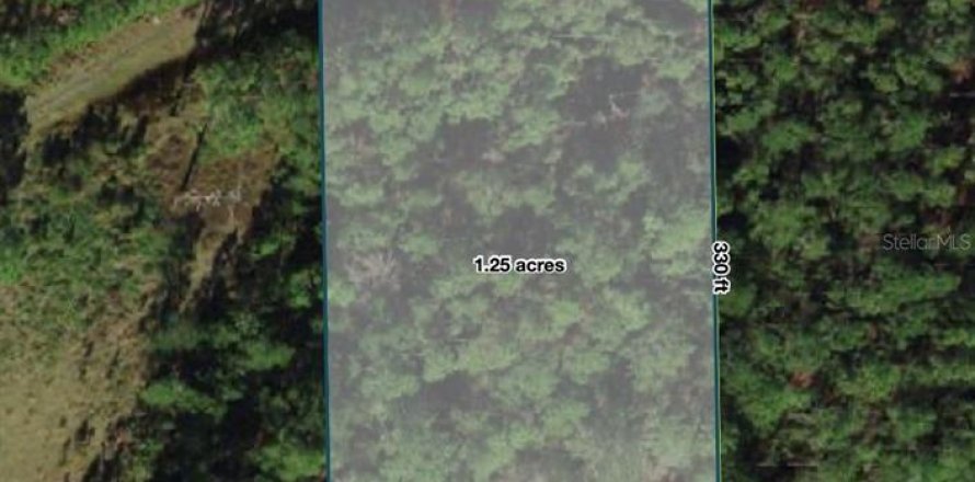 Terrain à Polk City, Floride № 2204375