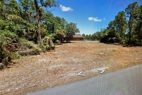 Land in Port Charlotte, Florida № 2108882 - photo 2