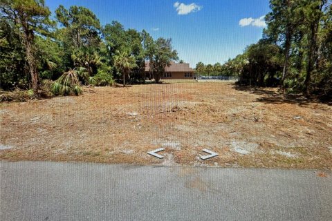 Land in Port Charlotte, Florida № 2108882