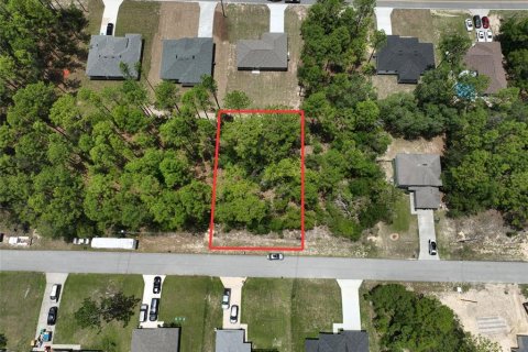 Land in Dunnellon, Florida № 2162522