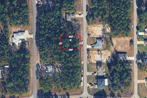 Land in Dunnellon, Florida № 2162522 - photo 3