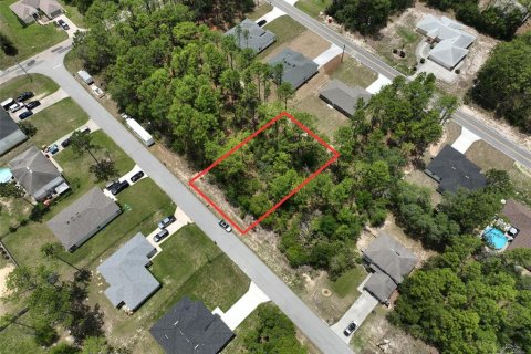 Land in Dunnellon, Florida № 2162522 - photo 2