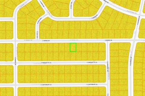 Купить земельный участок в Даннеллон, Флорида № 2228147 - фото 4
