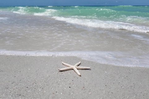 Casa en venta en Clearwater, Florida, 6 dormitorios, 345.5 m2 № 1677866 - foto 11