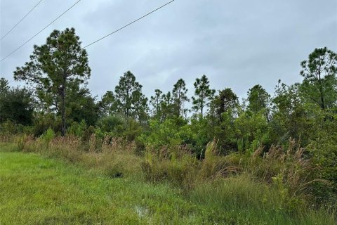Land in Port Charlotte, Florida № 2161459 - photo 3
