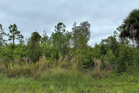 Land in Port Charlotte, Florida № 2161459 - photo 2