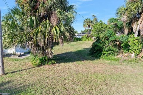 Land in Daytona Beach, Florida № 2214626 - photo 15