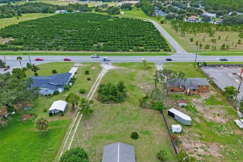 Land in Tavares, Florida № 1904536 - photo 30