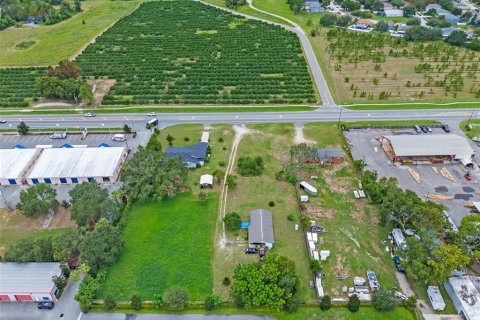 Land in Tavares, Florida № 1904536 - photo 16