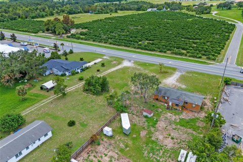 Land in Tavares, Florida № 1904536 - photo 5