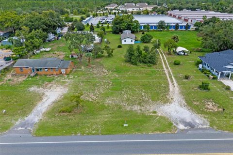 Land in Tavares, Florida № 1904536 - photo 7