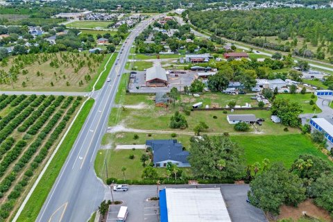 Land in Tavares, Florida № 1904536 - photo 19