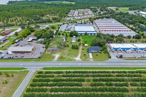 Land in Tavares, Florida № 1904536 - photo 17